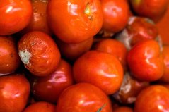 Onverpakte tomaten